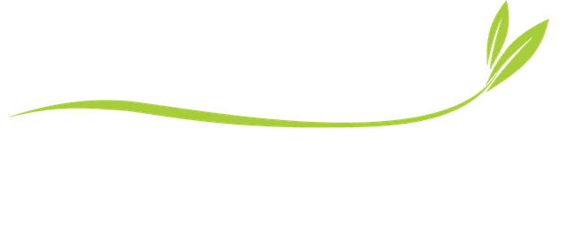 Team Envision Logo